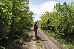 ВСУ атаковали четыре населенных пункта Белгородской области